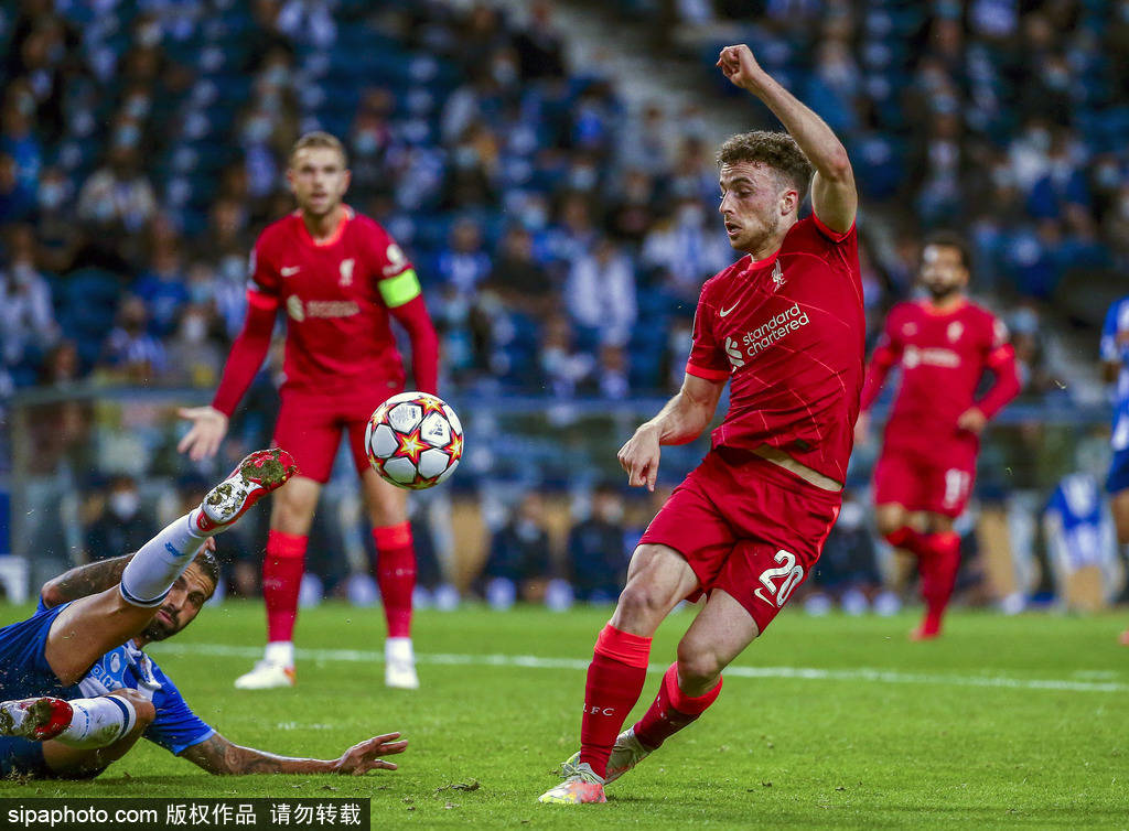 皮影关节的 皮影关节的